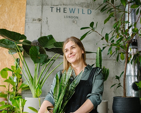 London City Island- The Wild London